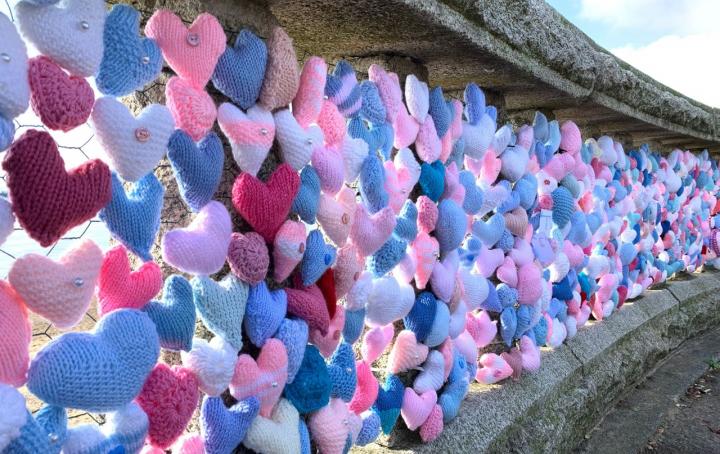 Ellie's Pink & Blue Hearts Display 2021